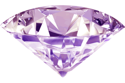 WS Logo mit Diamant animiert frei