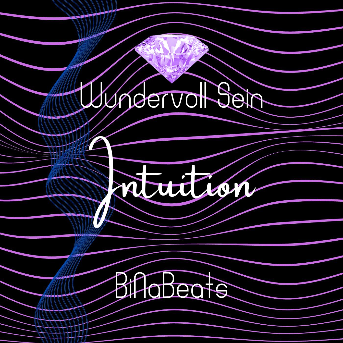 BiNa_Intuition